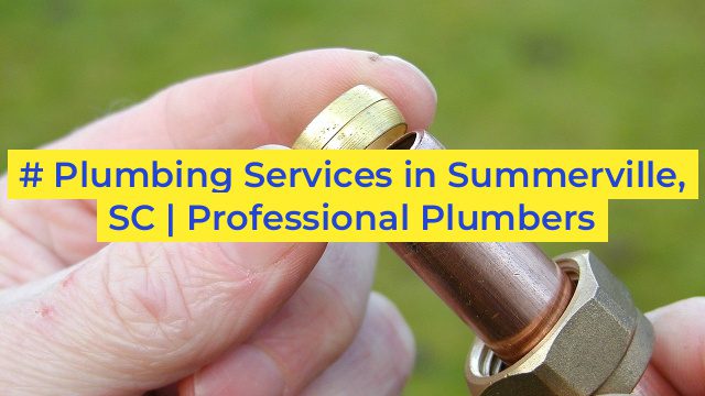 # Plumbing Services in Summerville, SC | Professional Plumbers