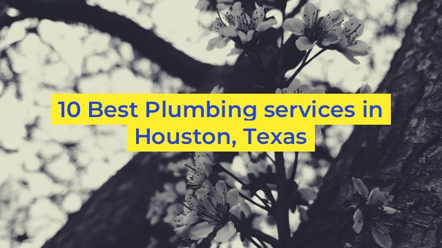 10 Best Plumbing services in Houston, Texas