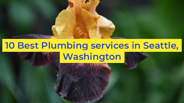 10 Best Plumbing services in Seattle, Washington