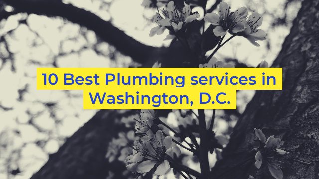 10 Best Plumbing services in Washington, D.C.