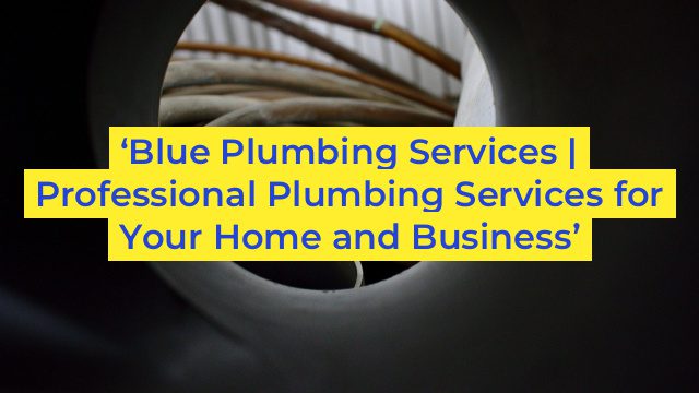 ‘Blue Plumbing Services | Professional Plumbing Services for Your Home and Business’