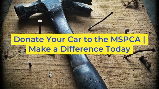 Donate Your Car to the MSPCA | Make a Difference Today