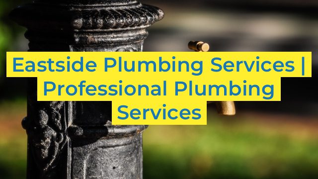 Eastside Plumbing Services | Professional Plumbing Services