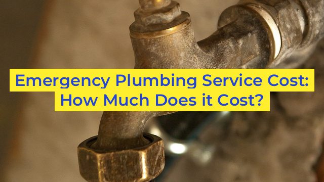 Emergency Plumbing Service Cost: How Much Does it Cost?