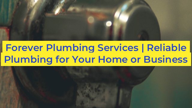 Forever Plumbing Services | Reliable Plumbing for Your Home or Business