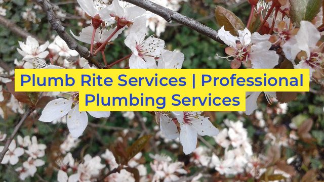 Plumb Rite Services | Professional Plumbing Services