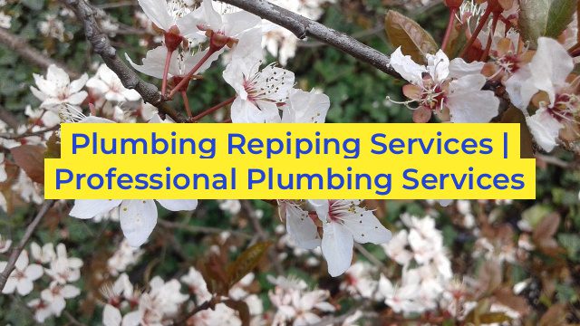 Plumbing Repiping Services | Professional Plumbing Services