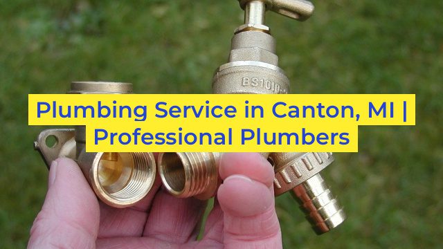 Plumbing Service in Canton, MI | Professional Plumbers