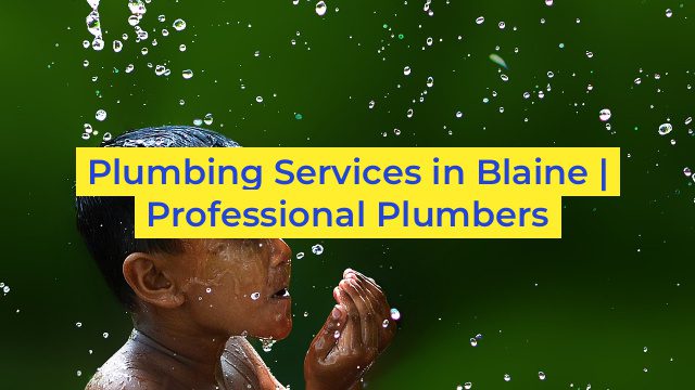 Plumbing Services in Blaine | Professional Plumbers