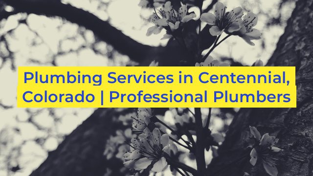 Plumbing Services in Centennial, Colorado | Professional Plumbers