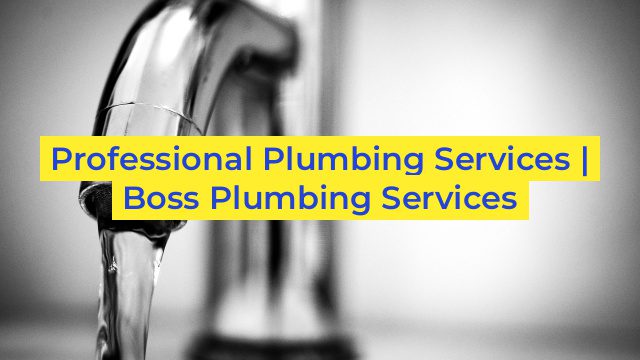 Professional Plumbing Services | Boss Plumbing Services