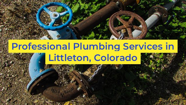 Professional Plumbing Services in Littleton, Colorado