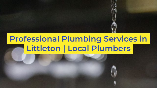 Professional Plumbing Services in Littleton | Local Plumbers