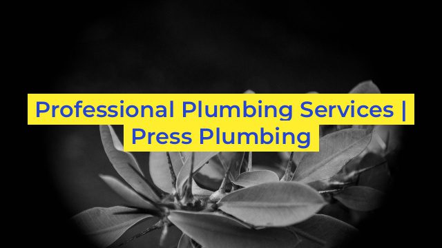 Professional Plumbing Services | Press Plumbing